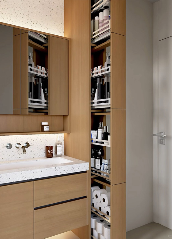 Toilet storage