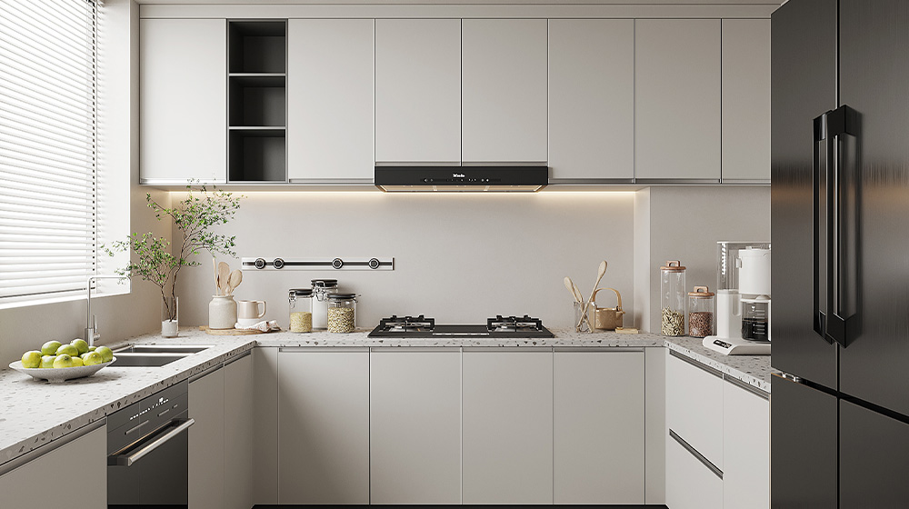 Minimalist black and white matching kitchen