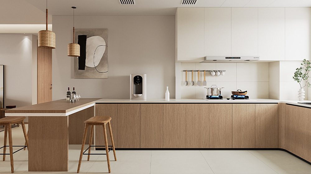 Island Kitchen in Guest Kitchen